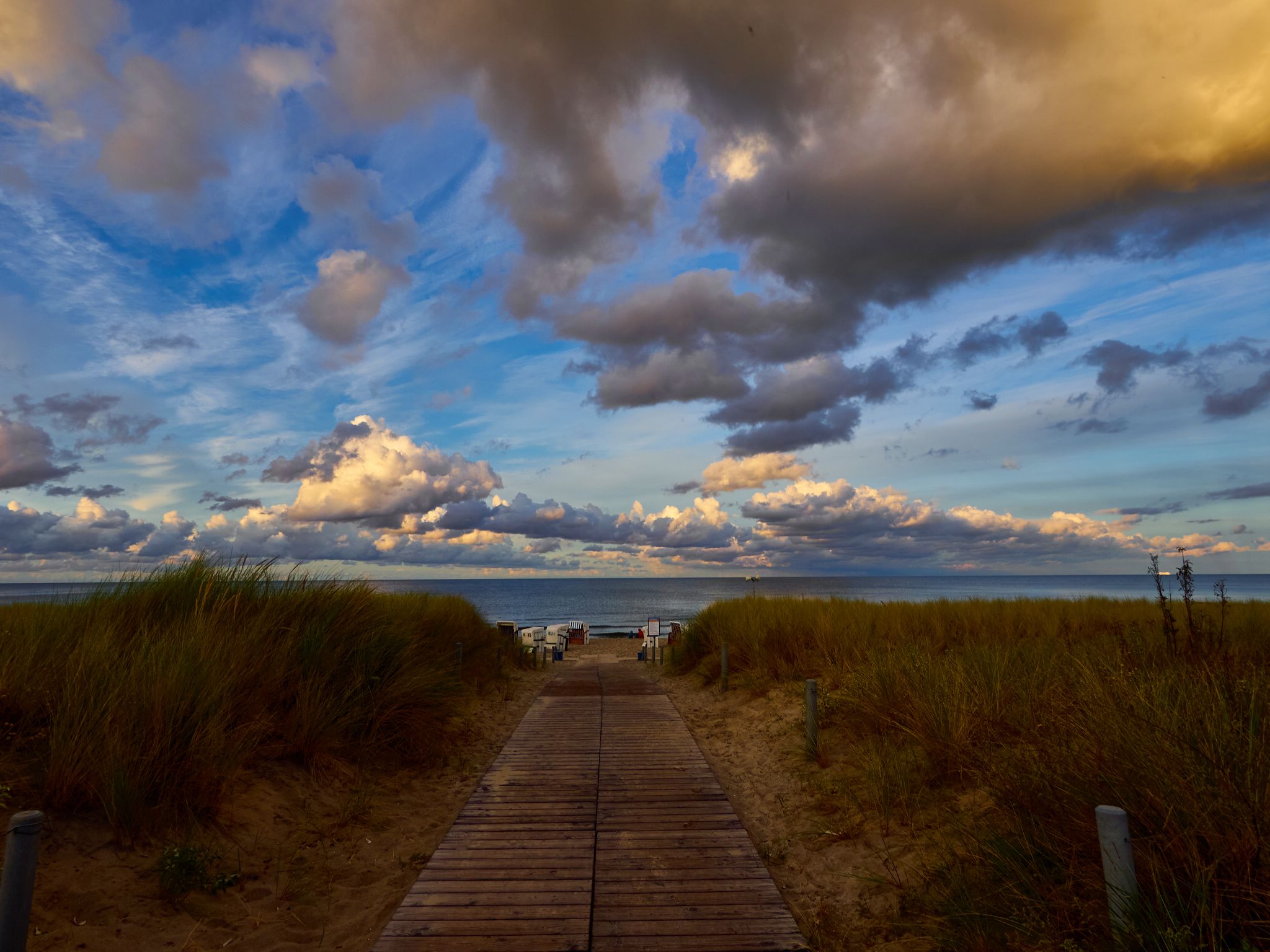 Landschaft 2024  1724 Usedom